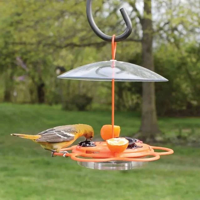Oriole Buffet Bird Feeder – 3 Pack, Outdoor Bird Feeding Set