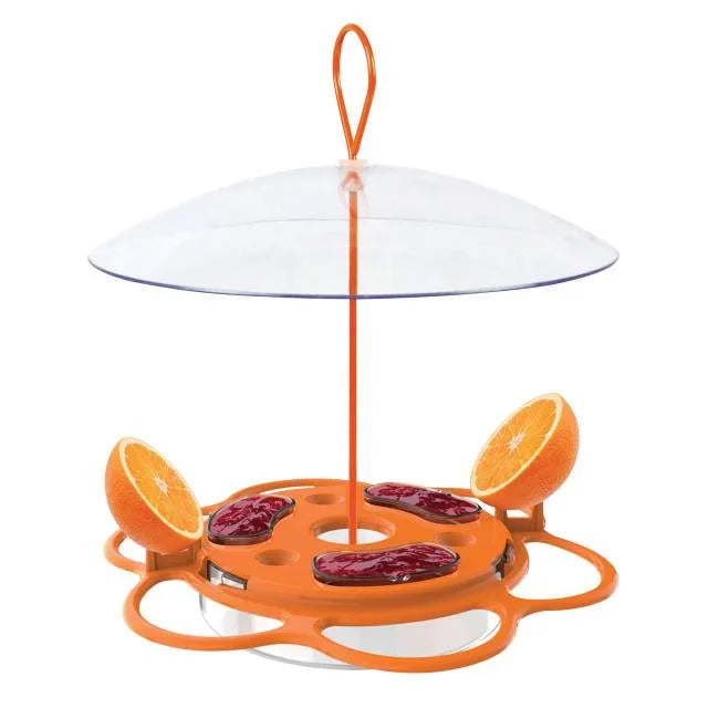 Oriole Buffet Bird Feeder – 3 Pack, Outdoor Bird Feeding Set