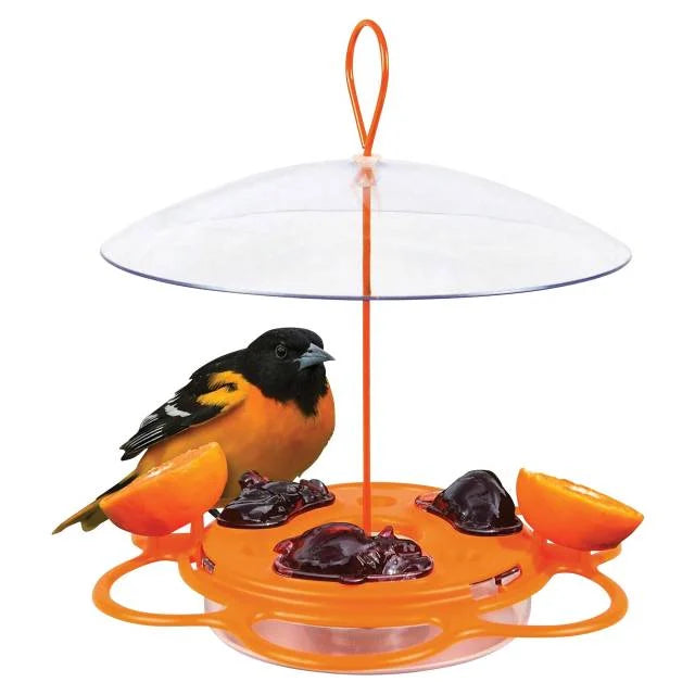 Oriole Buffet Bird Feeder – 3 Pack, Outdoor Bird Feeding Set
