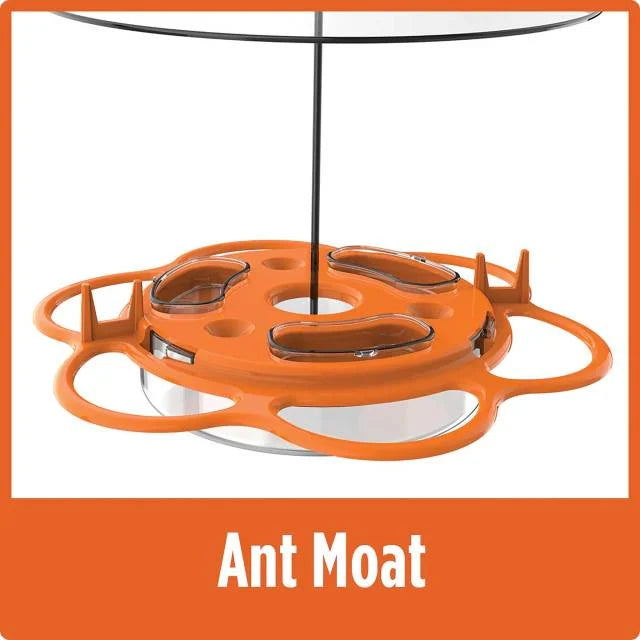 Oriole Buffet Bird Feeder – 3 Pack, Outdoor Bird Feeding Set
