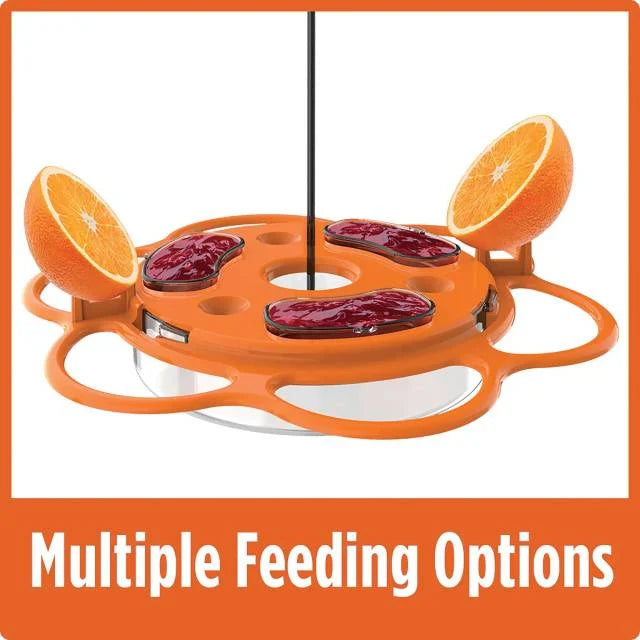 Oriole Buffet Bird Feeder – 3 Pack, Outdoor Bird Feeding Set
