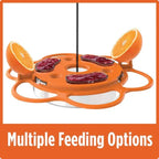 Oriole Buffet Bird Feeder – 3 Pack, Outdoor Bird Feeding Set