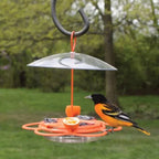 Oriole Buffet Bird Feeder – 3 Pack, Outdoor Bird Feeding Set