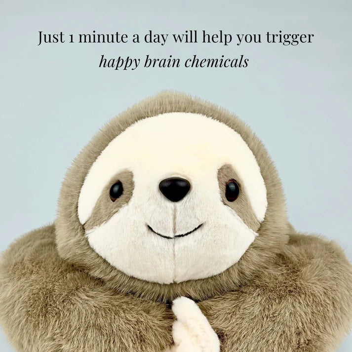 Sunnie the Sloth Weighted Plush Animal – Soft Stuffed Sloth Toy for Home and Everyday Use