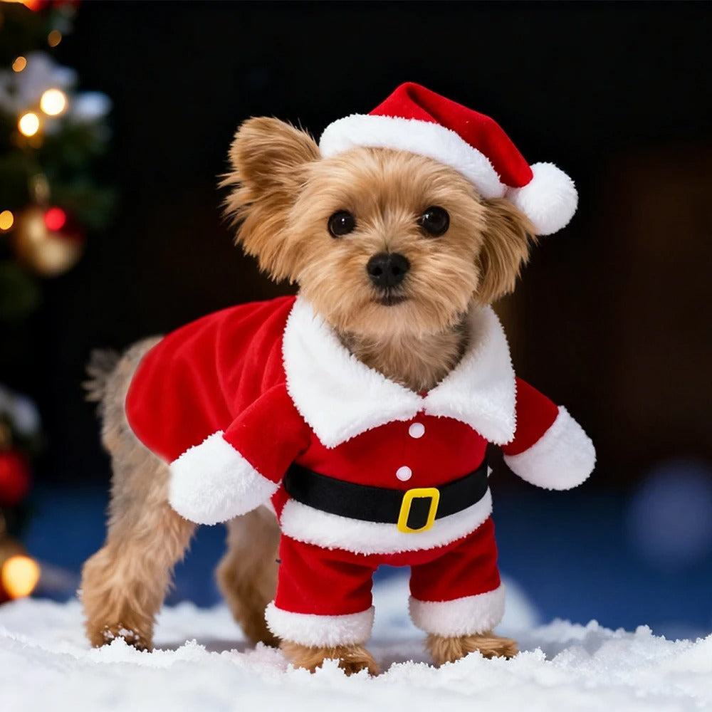 Small Pet Santa Claus Christmas Costume Outfit