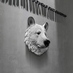 Resin Animal Head Wall Decor – Tiger, Bear and Elephant Sculpture